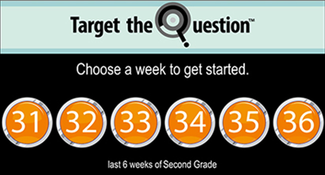 Target the Question&trade;'s main digital review interface